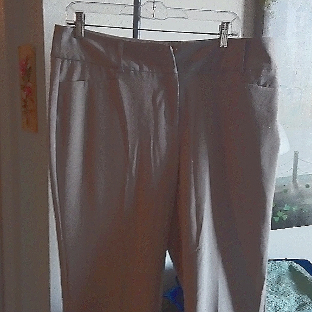 Dress pants